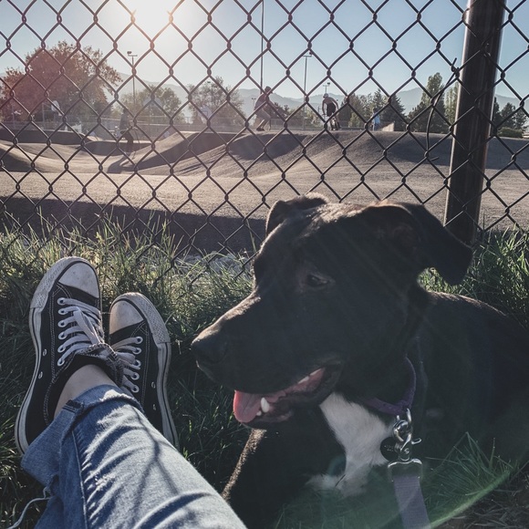 MEET YOUR POSHER - Picture 4 of 4